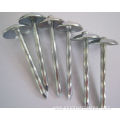 umbrella galvanized roofing nail